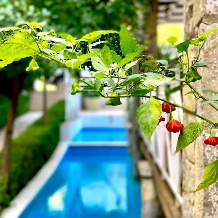 Ξενοδοχείο Neda 3*