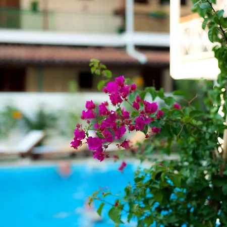 酒店 奈达酒店 3*