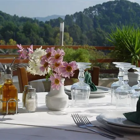 奈达酒店 3* 奥林匹亚