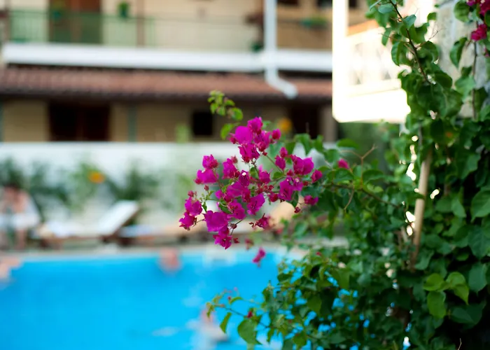 Hotel Neda 3*
